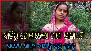 viral vlog badiru tolahela taja taja 🤔🤔odia vlog video viral vlog video in odia [upl. by Hendrickson296]