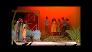 Honk Spring Musical Althoff Catholic High School 2015 [upl. by Kreegar]