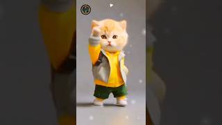 Cat dance new video 😸😸 ytcat cutecat catlover catdance youtubeshorts subscribe [upl. by Ecidnacal573]