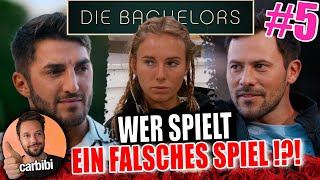 Wer ist nur da für Bachelor in Paradise  Die Bachelors 5 [upl. by Nnylrefinnej]