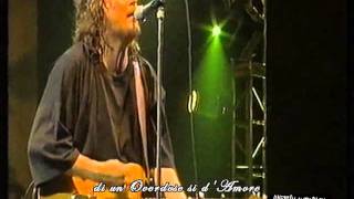 Zucchero  Overdose damore Live 1995 [upl. by Nosdivad38]