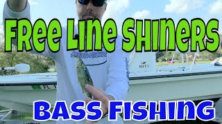 Florida Big Bass Fishing with Free Line Shiners [upl. by Burley]