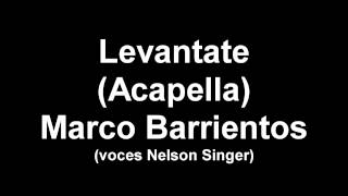 levántate Marco Barrientos [upl. by Yelnats]