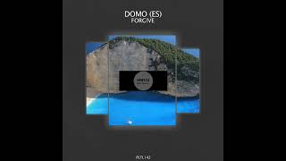 DOMO ES  Forgive Original Mix [upl. by Foster736]