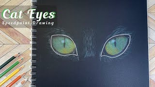 Pencil coloring  Cat Eyes  Speedpaint [upl. by Nodlew]