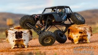 Axial Wraith custom 110 crawler with heaps of modifications [upl. by Essile550]