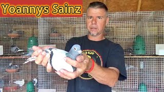 Racing Pigeons  Yoannys Sainz Interview [upl. by Yelsa]