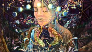 Cristas Icaros  Ayahuasca song 7 [upl. by Fonville]