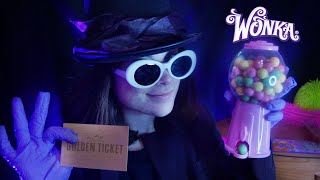 VISITA ALLA FABBRICA DI CIOCCOLATO DI WILLY WONKA🍫  Roleplay ASMR ITA [upl. by Joey]