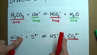 Identify Conjugate Acid Base Pairs Bronsted Lowry [upl. by Notwen]