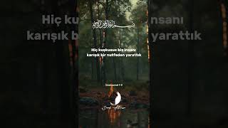 İnsan suresi 13 shorts kuran türkçe meal quran [upl. by Lehcyar]