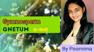 GnetumLife CycleGymnospermBy Poornima [upl. by Ahsiuqram632]