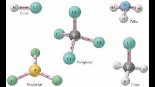 Moleculas polar y no polar Como saber si una molecula es polar o apolar [upl. by Grissel76]