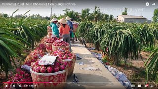 Vietnam  Rural life in Cho Gao  Tien Giang Province [upl. by Phene]