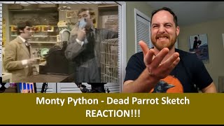 American Reacts to MONTY PYTHON Dead Parrot REACTION [upl. by Notgnillew]