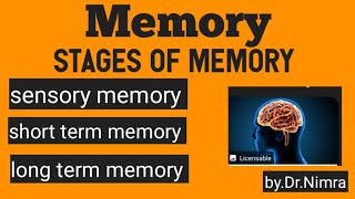 3 stages of memory sensoryshort term long termin psychology seriesby Dr Nimra [upl. by Drehcir]