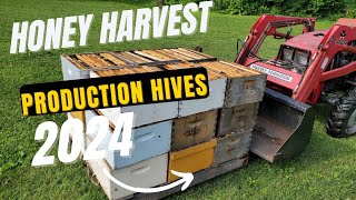 2024 Honey Harvest And Varroa Mite Treatment Configuration 1 [upl. by Ahtamas799]