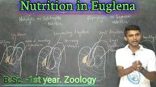 Lc10Nutrition in Euglena BSc 1st yearZoology byPrahalad Sir [upl. by Harpp]