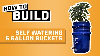 How to Build Self Watering 5 Gallon Buckets [upl. by Halueb]