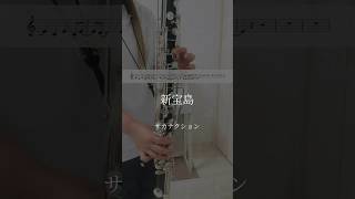 新宝島サカナクション bassclarinet バスクラリネット clarinet クラリネット 楽譜 吹奏楽 [upl. by Merlin]