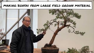 Making Bonsai from Large field grown material [upl. by Enileqcaj]