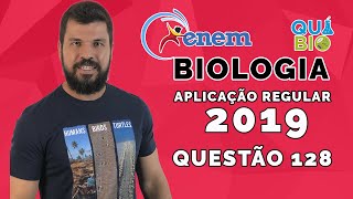 ENEM 2019  Aplicação Regular  Questão 128  Durante sua evolução as plantas apresentaram grande di [upl. by Eiramyllek]