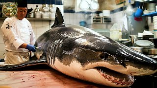 Explore Japanese cuisine How to prepare Shark for Sashimi by a Japanese chef  Emison Newman [upl. by Mathre289]