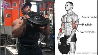 8 ejercicios para Hombros y Biceps 8 exercises for Shoulders and Biceps [upl. by Hayimas]