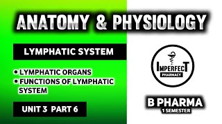 Lymphatic System  Lymph Nodes  Lymphatic Organs  Human Anatomy And Physiology  HAP [upl. by Ferne]