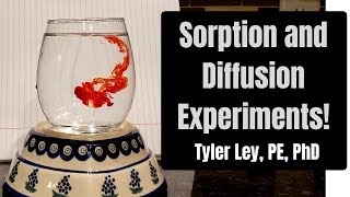 Sorption and Diffusion Experiments [upl. by Oleic]