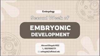 Embryology III 2nd week of development amp Extraembryonic Mesoderm  Ahmed Eltayeb  FND 111 [upl. by Asek]