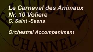 Tempo 84 bpm Orchestral Accompaniment for Flute Solo Le carneval des animaux Voliere  Play along [upl. by Enomal592]