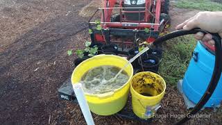 How to Fertilizing using Comfrey Bocking 14 and Tithonia Diversifolia Mexican Sun Flower [upl. by Eidnar]