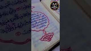 Quran ko hath se kapde par likh tayar Kiya haiby sayyad Aminul qadri shortsfeed aalahazrat [upl. by Neitsabes]