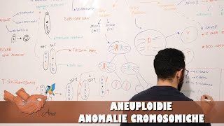 Aneuploidie ed anomalie cromosomiche [upl. by Aital]