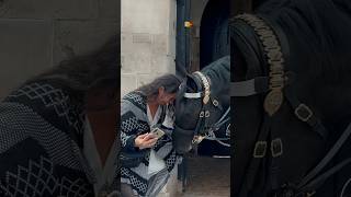 HORSE GRABS HER CLOTHES  Horse Guards Royal guard Kings Guard Horse London 2024 [upl. by Croom]