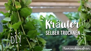 KRÄUTER 🌿🌻 für Kaninchen selber trocknen DIY  Kaninchenstar [upl. by Carilyn]