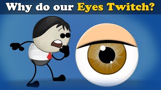 Why do our Eyes Twitch  more videos  aumsum kids science education children [upl. by Templa]