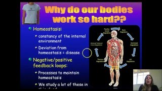 General Biology Intro to AampP I amp Homeostasis [upl. by Larred]