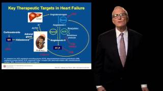 Evolving Pathophysiology of Heart Failure [upl. by Belda147]