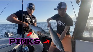 Fishing for PINK SALMON with HOOCHIES Trolling on the OCEAN  FISH TAKES BC Canada [upl. by Cyrille]