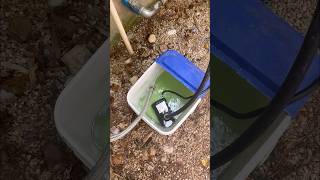 Tankless Water Heater Flush [upl. by Bernadine644]