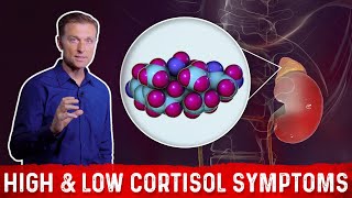 Low vs High Cortisol Levels Symptoms Explained By DrBerg [upl. by Butler]