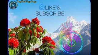 TangKhul Naga Love Song offical TangKhul naga Song Songs [upl. by Mail]