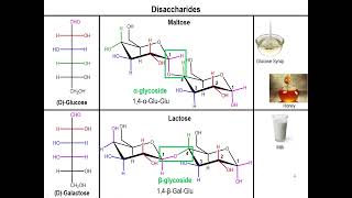 Lec10  Disaccharides and Polysaccharides [upl. by Okomom]