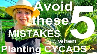 Tropical Gardens UK 5 Mistakes to Avoid When Planting Exotic Sago Palms Cycads  Cycas revoluta [upl. by Nezam]