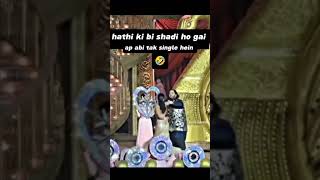 ak mota hathi Anant Radhika wedding anantambani radhikamerchant ekmotahathi viral funny viral [upl. by Maggio]