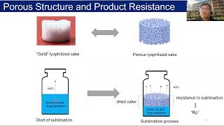 Sensitivity of Lyophilization Rate and Porous Structure to Small Changes in Freezing [upl. by Mireille925]