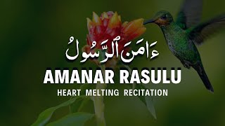 Amanar Rasulu Bima Unzila Ilayhi  Amana Rasul Surah  Beautiful Quran Recitation [upl. by Aieki]