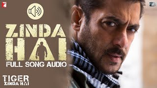 Tiger Zinda Hai Audio Instrumental [upl. by Rowan]